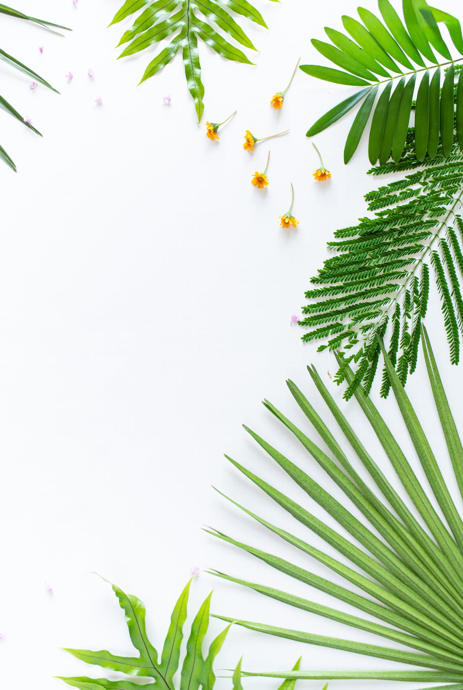 Yellow tulips photographed as bright seasonal brand content